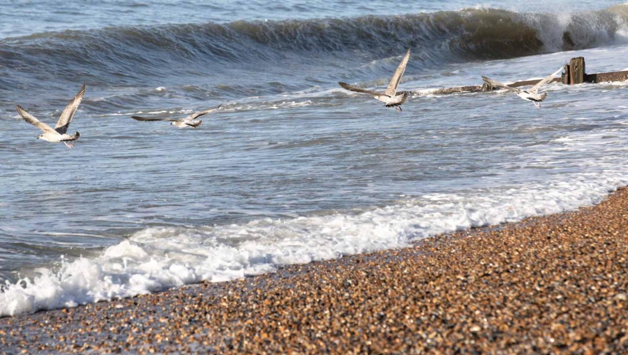 The Relais Cooden Beach And Spa Bexhill-on-Sea Eksteriør billede